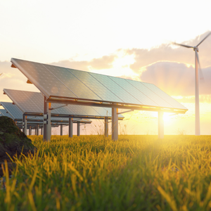 Solar panels and wind turbine
